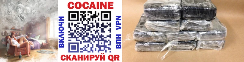 Купить закладки  Козловка  COCAIN Эквадор 