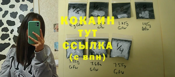 дживик Карпинск