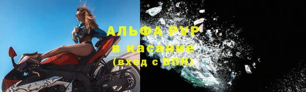 ГАЛЛЮЦИНОГЕННЫЕ ГРИБЫ Карталы