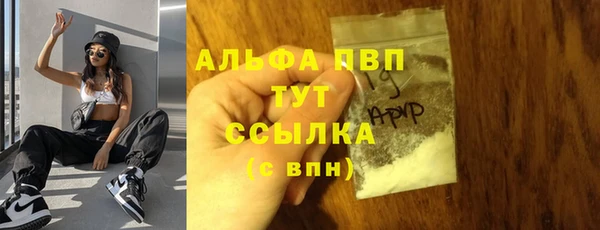 стафф Касимов