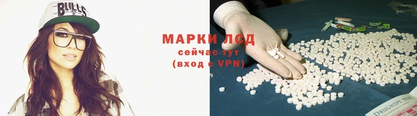 стафф Касимов