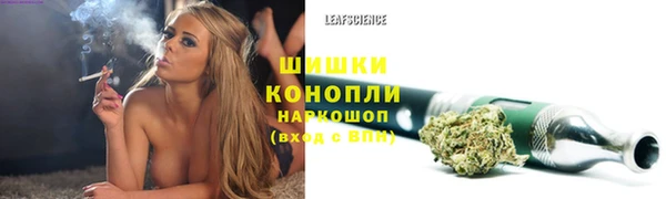 дживик Карпинск