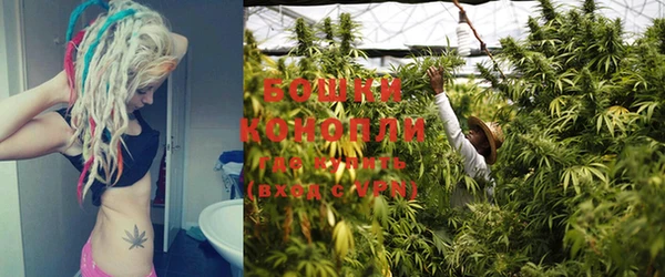 стафф Касимов