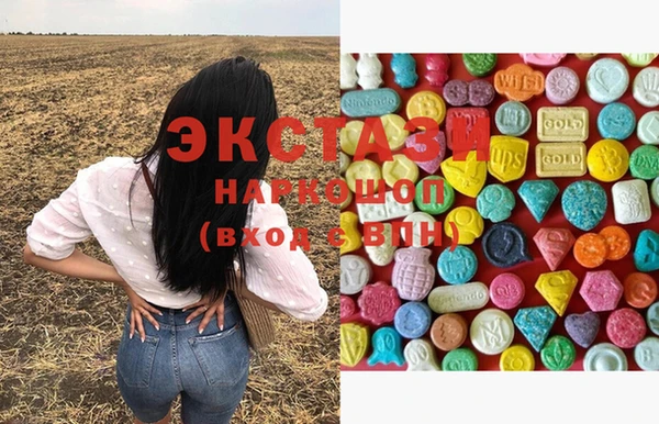 стафф Касимов