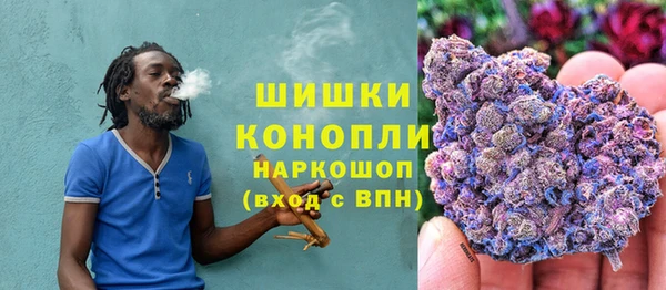 дживик Карпинск