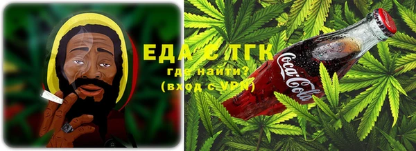стафф Касимов