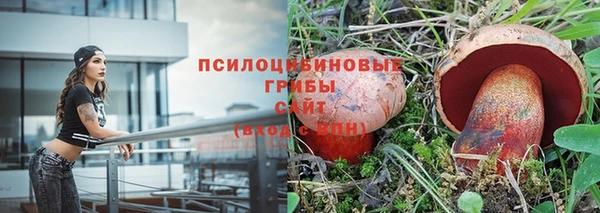 стафф Касимов