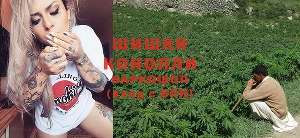 ГАЛЛЮЦИНОГЕННЫЕ ГРИБЫ Карталы