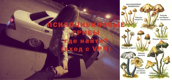 стафф Касимов