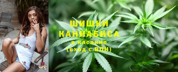 дживик Карпинск
