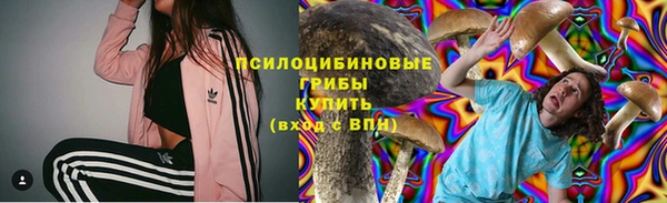дживик Карпинск