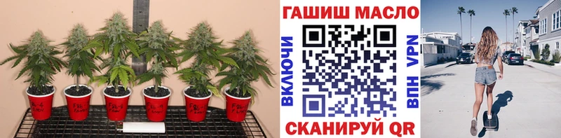 ТГК жижа  Купить где  Козловка 